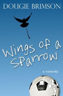      Wings of a Sparrow