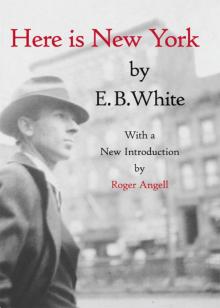     Here Is New York