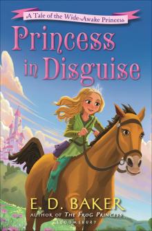      Princess in Disguise