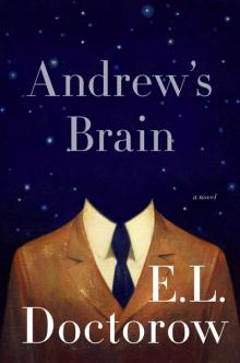      Andrew's Brain