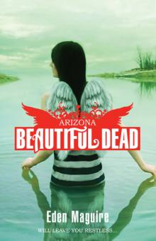 land of the beautiful dead r lee smith