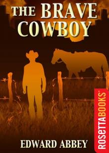      The Brave Cowboy