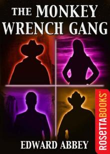      The Monkey Wrench Gang