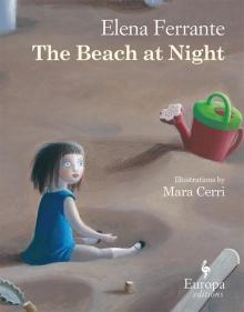      The Beach at Night