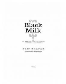      Black Milk: On Writing, Motherhood, and the Harem Within