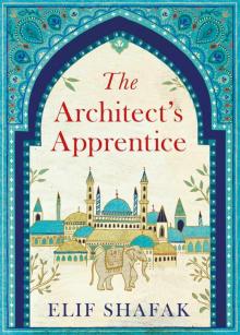      The Architect's Apprentice