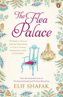      The Flea Palace