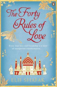      The Forty Rules of Love