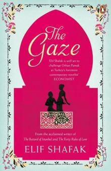      The Gaze