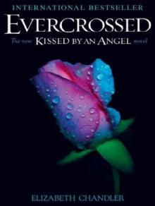      Evercrossed