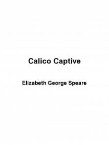      Calico Captive