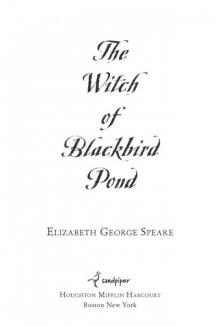      The Witch of Blackbird Pond