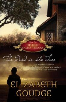      The Bird in the Tree
