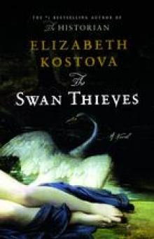     The Swan Thieves