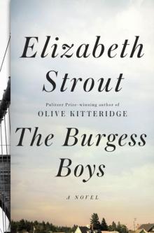      The Burgess Boys