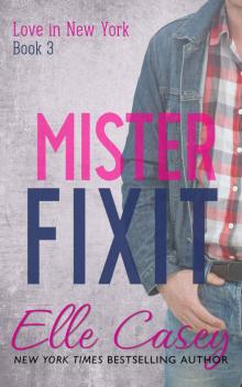      Mister Fixit