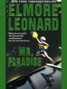      Mr. Paradise
