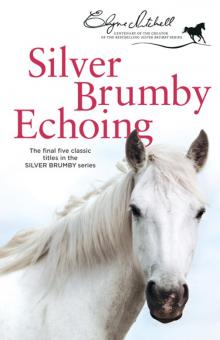      Silver Brumby Echoing