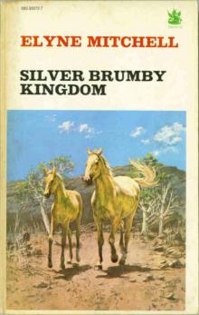      Silver Brumby Kingdom