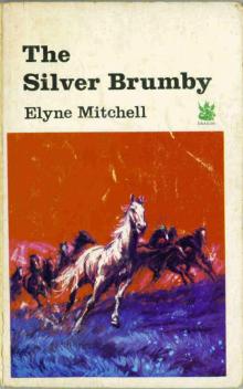      The Silver Brumby