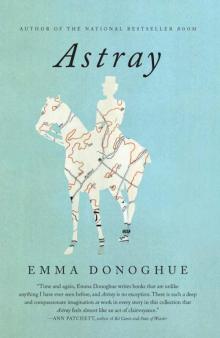      Astray: Stories