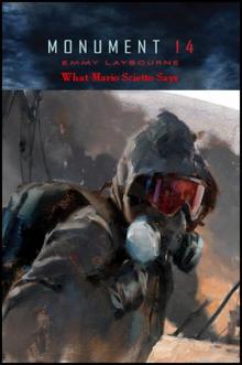      Monument 14 2.5 - What Mario Scietto Says
