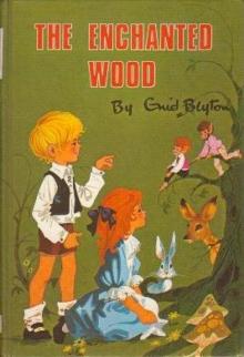     The Enchanted Wood