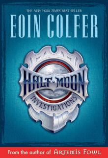 Novel - Half Moon Investigations