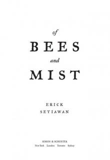      Of Bees and Mist