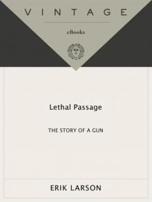      Lethal Passage: The Story of a Gun