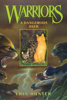      A Dangerous Path