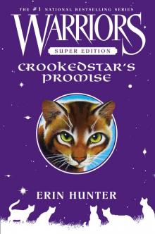      Crookedstar's Promise