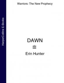      Dawn