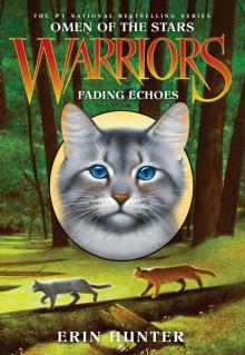      Fading Echoes