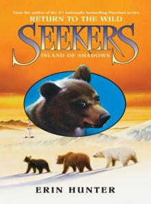      Island of Shadows