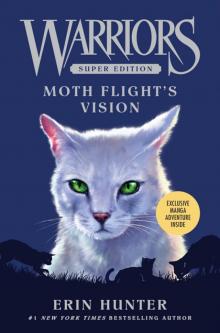      Moth Flight's Vision