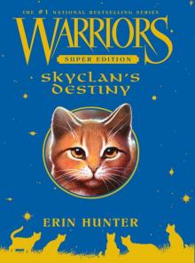      SkyClan's Destiny