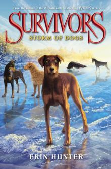      Storm of Dogs