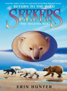      The Melting Sea