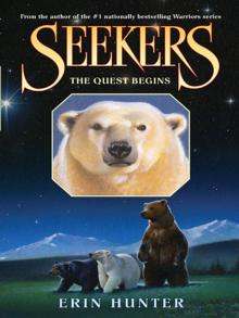     The Quest Begins