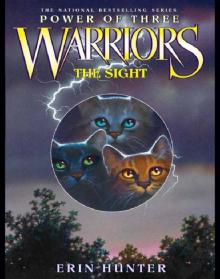      The Sight