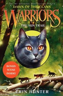      The Sun Trail
