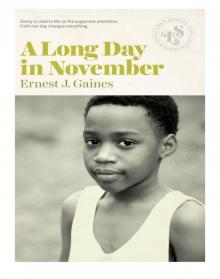      A Long Day in November