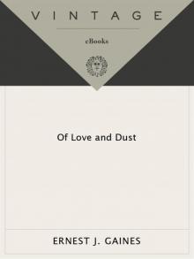      Of Love and Dust