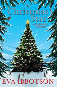     The Christmas Star: A Festive Story Collection