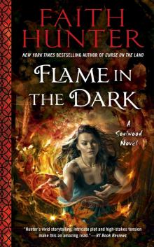     Flame in the Dark