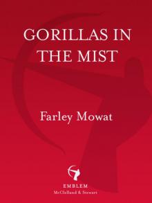      Gorillas in the Mist