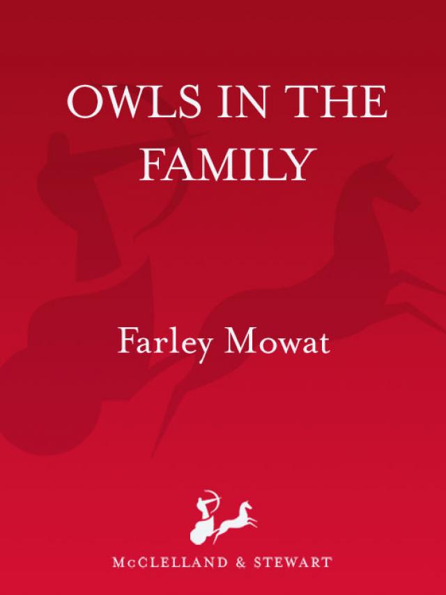 Read Owls In The Family Online Read Free Novel Read Light Novel