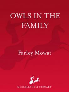      Owls in the Family