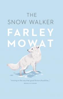      The Snow Walker